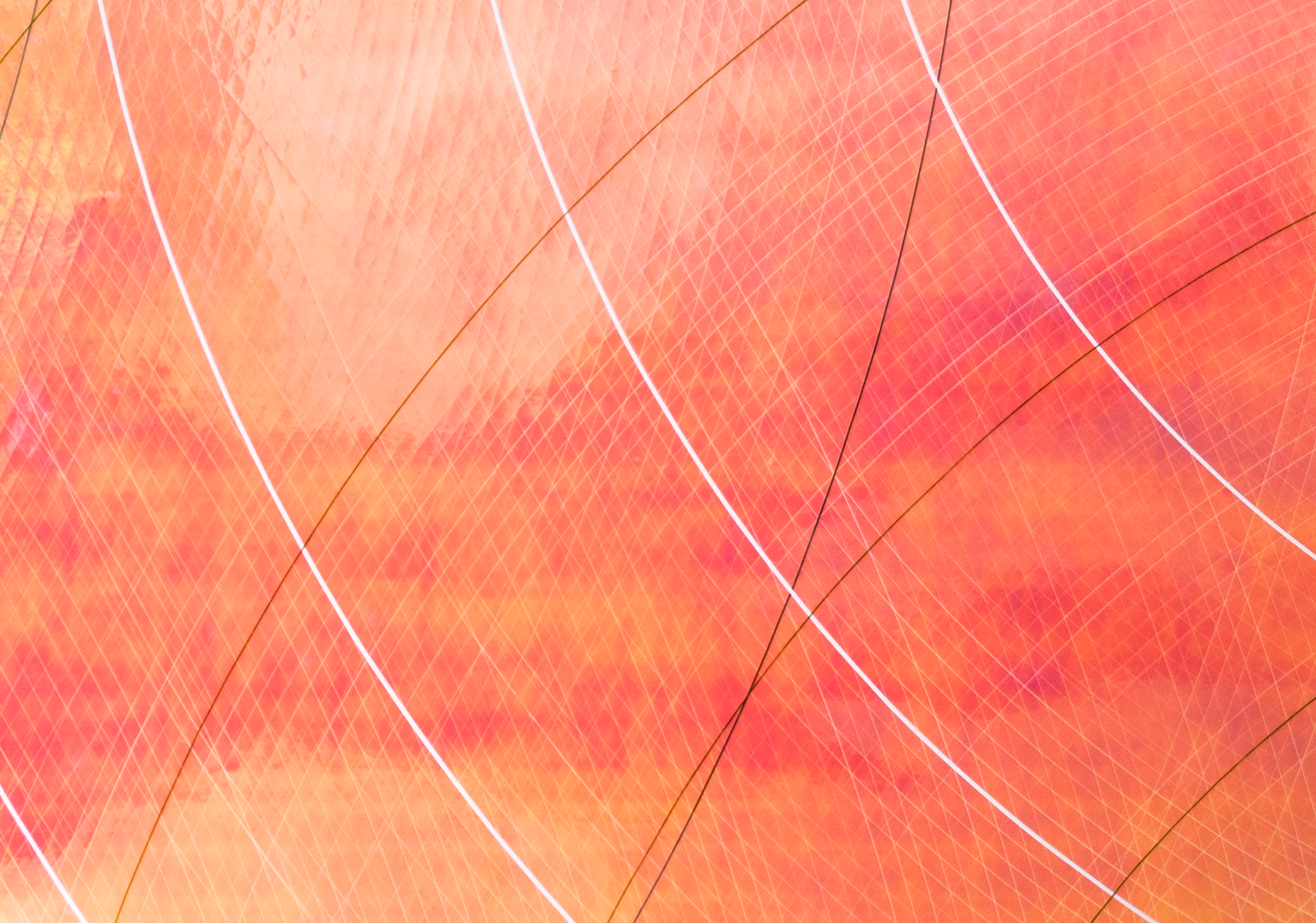 메인 배경 이미지